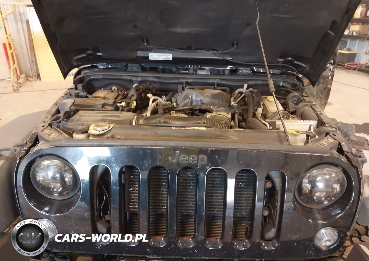 2016 Jeep Wrangler Unlimited Rubicon VIN:1C4BJWFG2GL271244 - 10