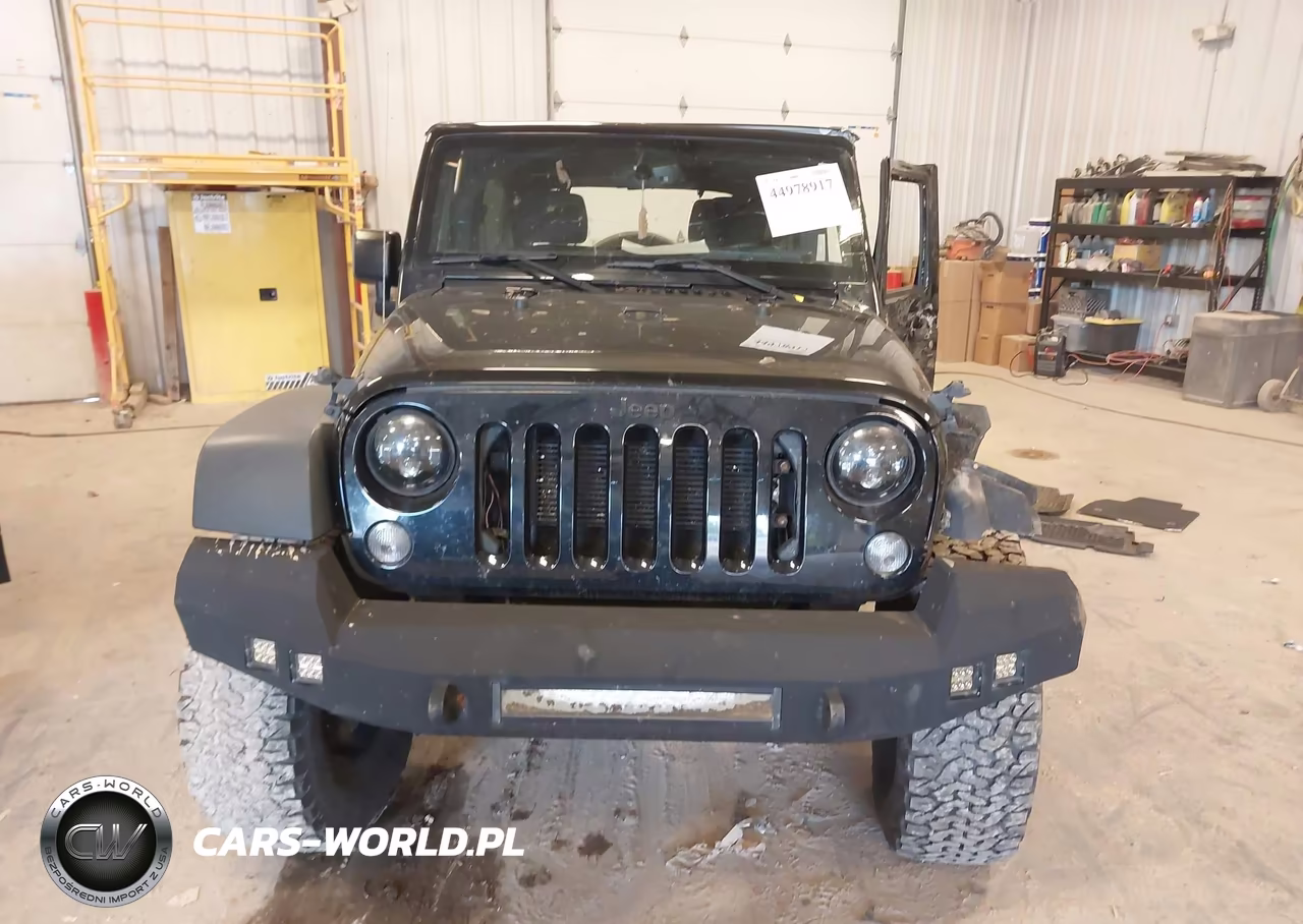 2016 Jeep Wrangler Unlimited Rubicon VIN:1C4BJWFG2GL271244 - 12