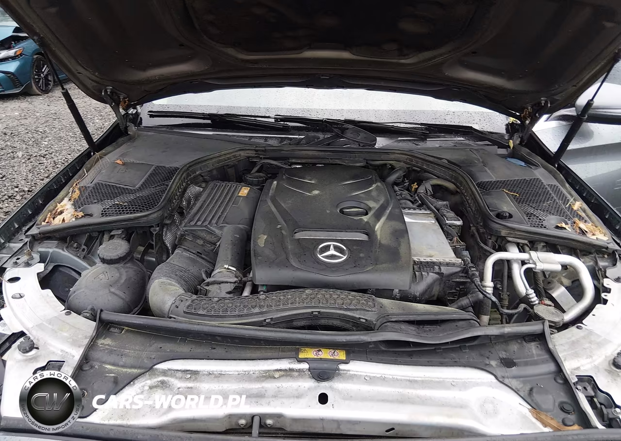 2017 Mercedes-Benz C 300 VIN:55SWF4JB7HU201969 - 10