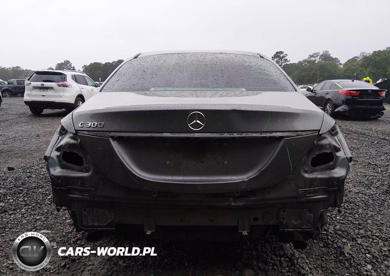 2017 Mercedes-Benz C 300 VIN:55SWF4JB7HU201969 - 17