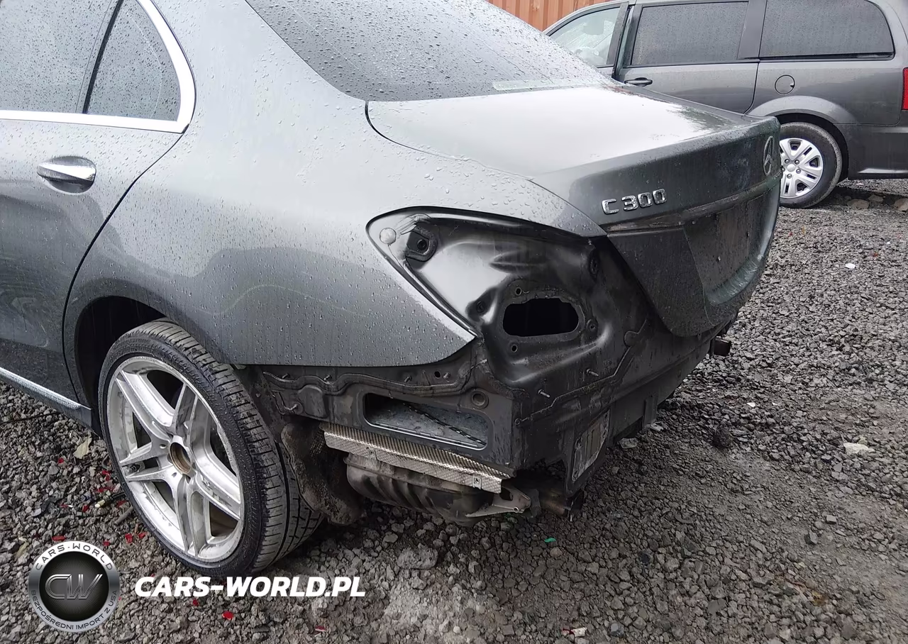2017 Mercedes-Benz C 300 VIN:55SWF4JB7HU201969 - 6