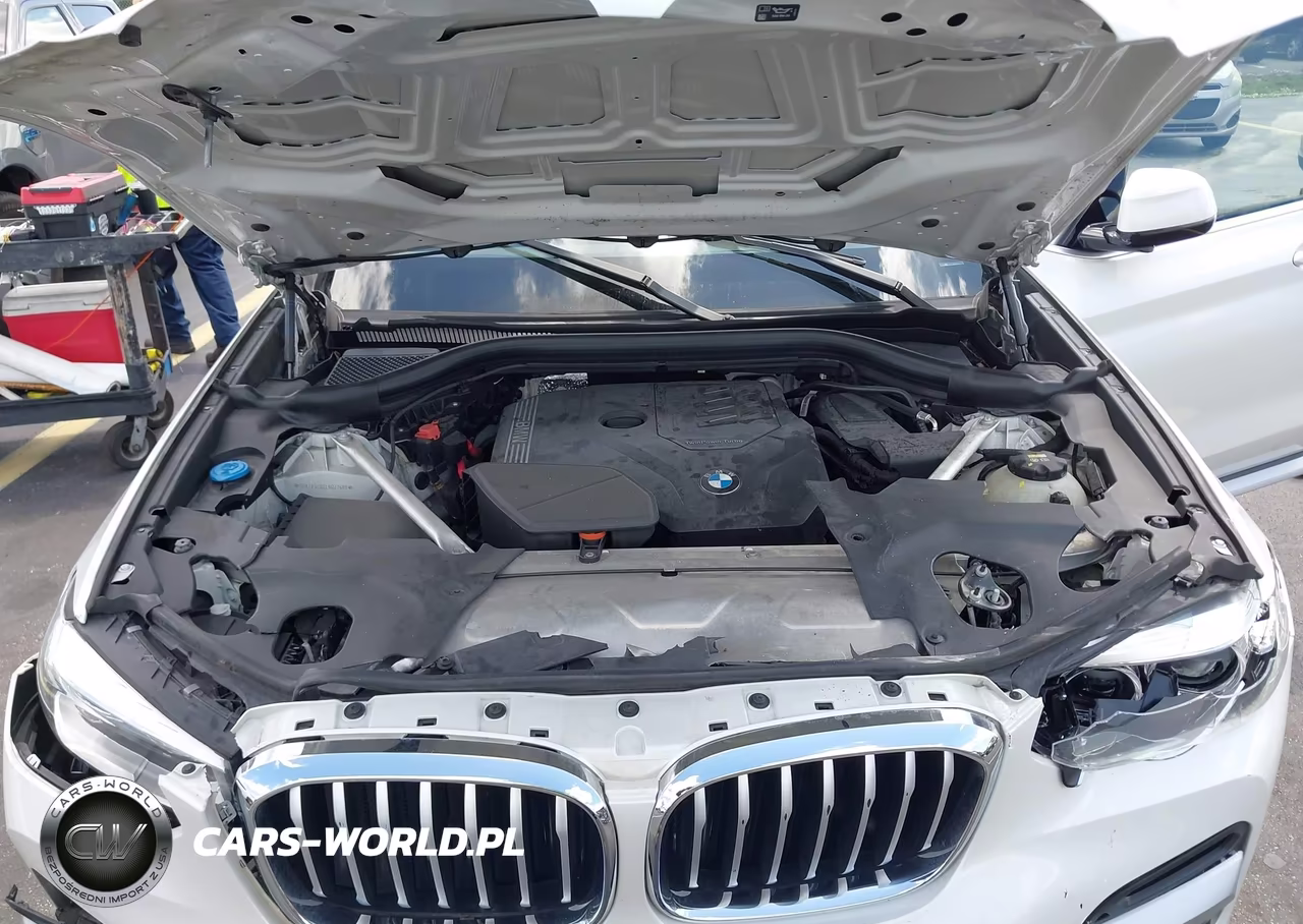 2020 BMW X3 Sdrive30I VIN:5UXTY3C04L9B07699 - 10