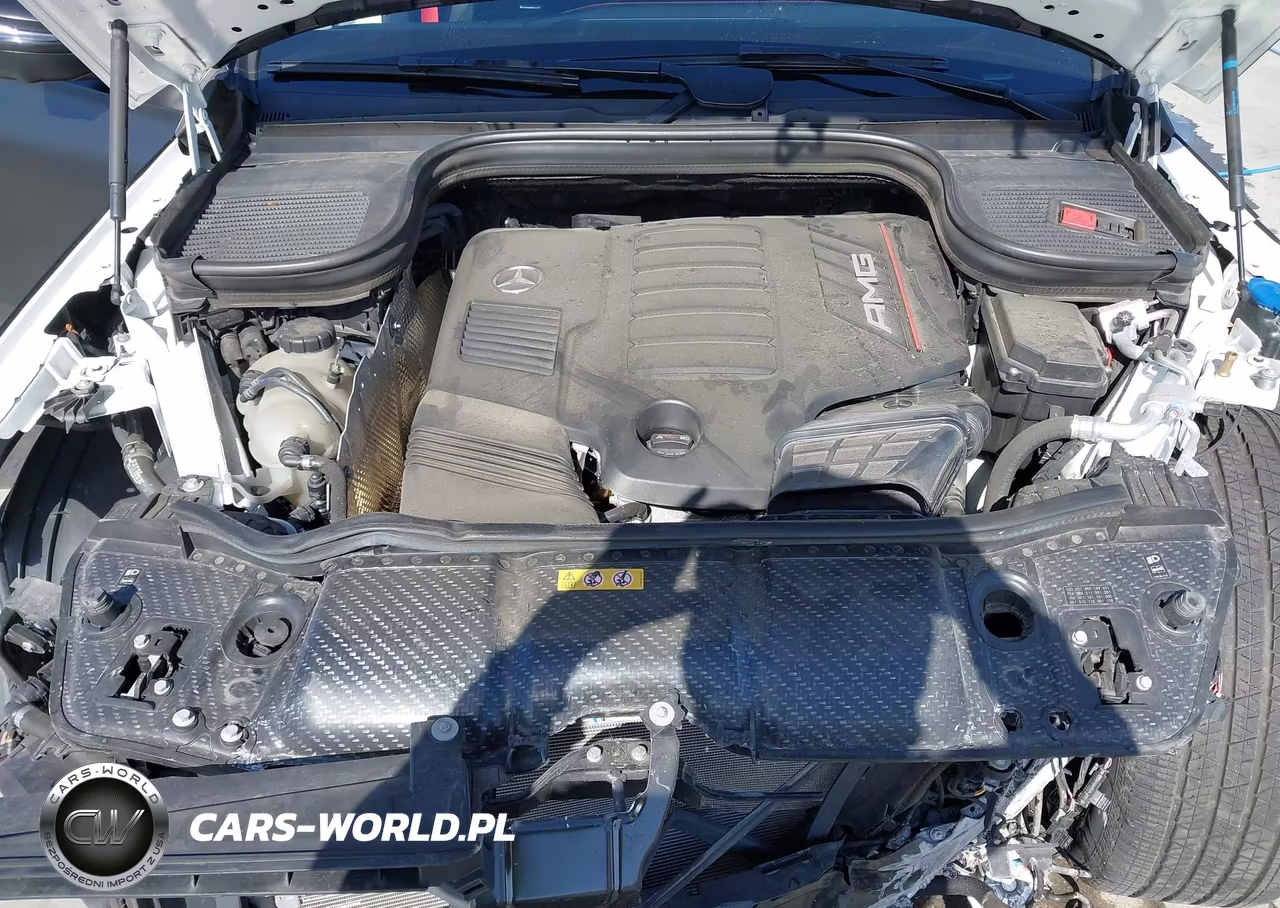 2023 Mercedes-Benz Amg Gle 53 Coupe 4Matic VIN:4JGFD6BBXPA923893 - 10