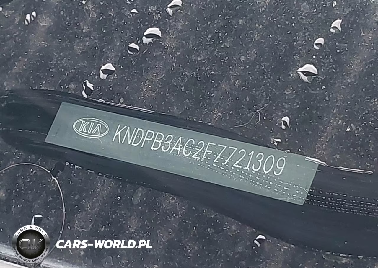 2015 Kia Sportage Lx VIN:KNDPB3AC2F7721309 - 12