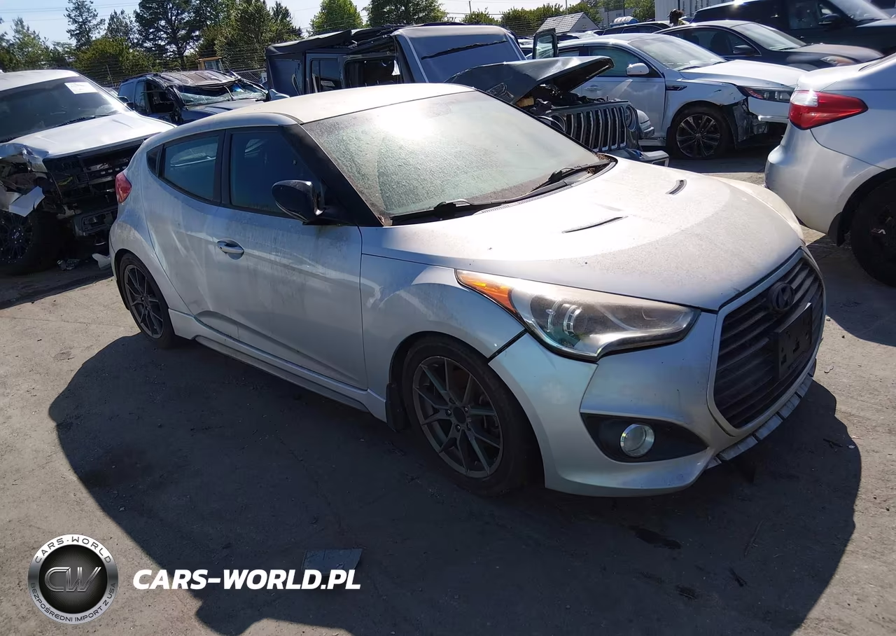 2013 Hyundai Veloster Turbo W-Black