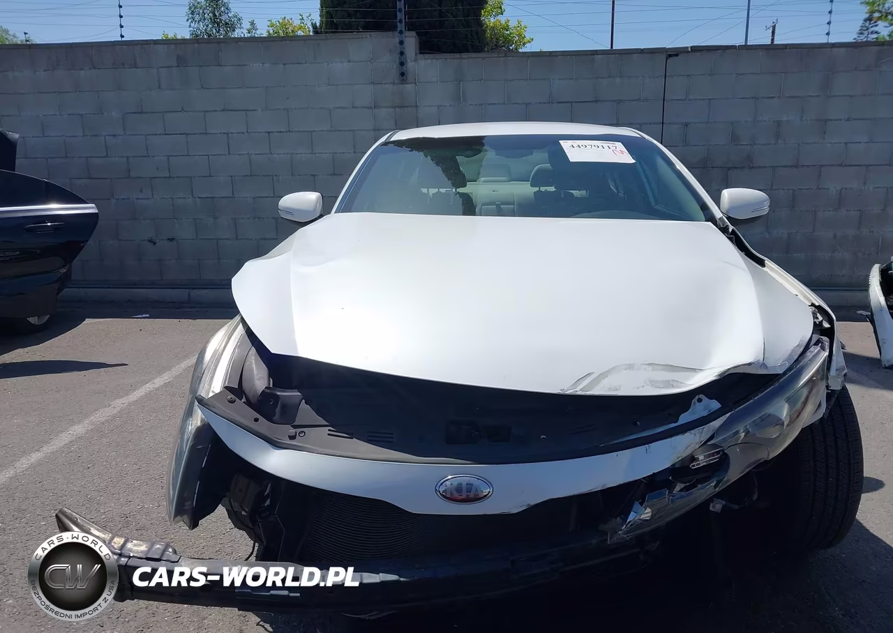 2013 Kia Optima Lx VIN:KNAGM4A75D5365186 - 13