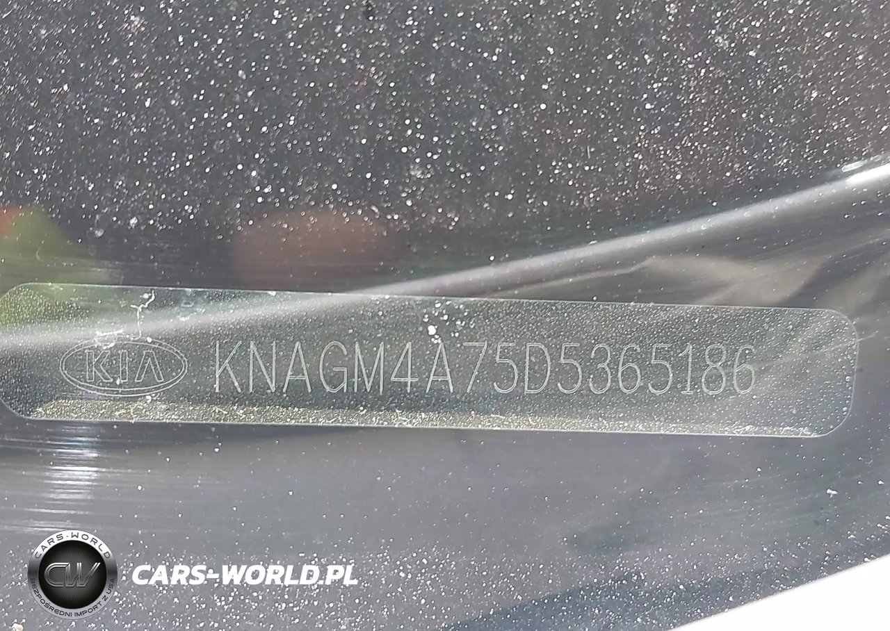 2013 Kia Optima Lx VIN:KNAGM4A75D5365186 - 18