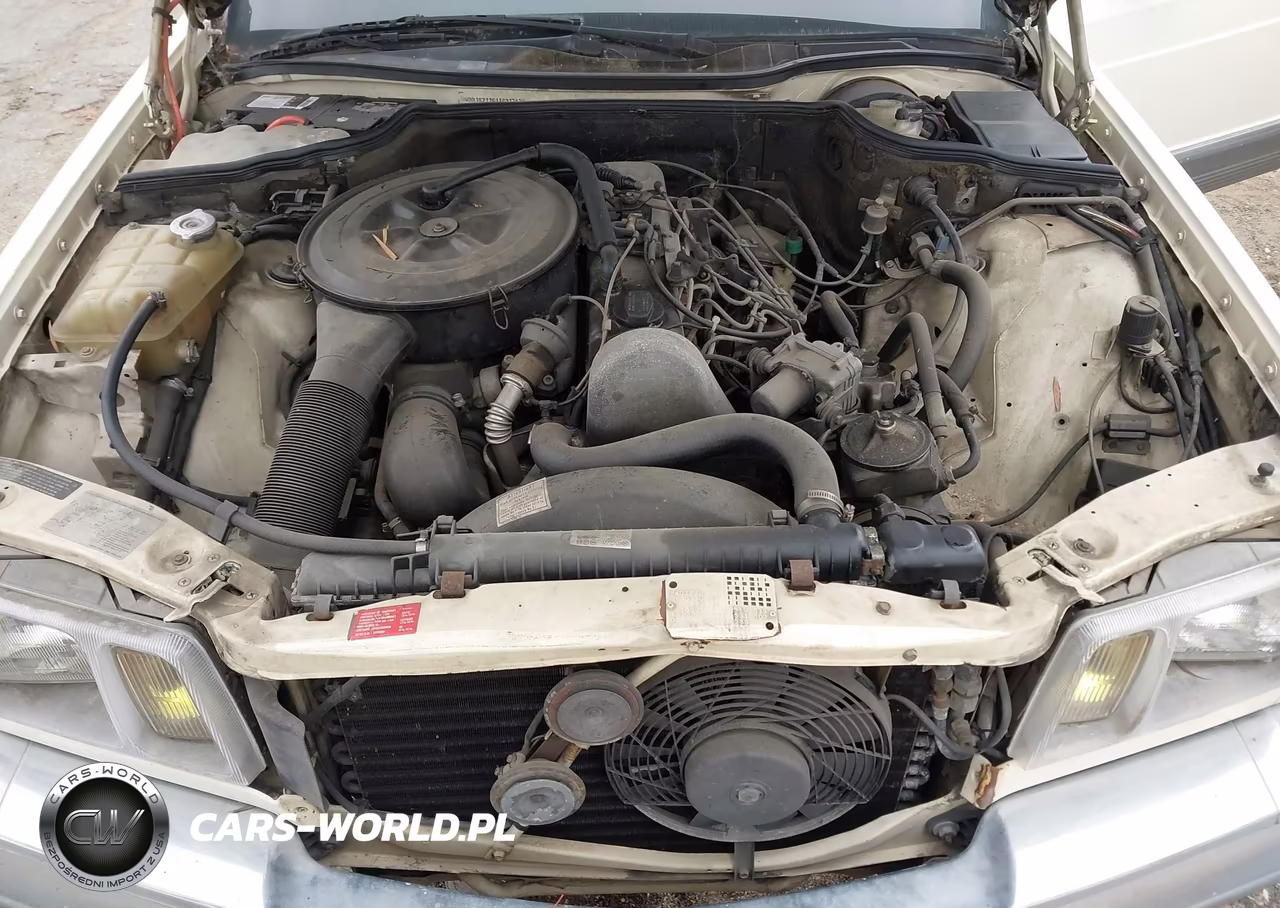 1982 Mercedes-Benz 300 Sd VIN:WDBCB20A0CB021742 - 10
