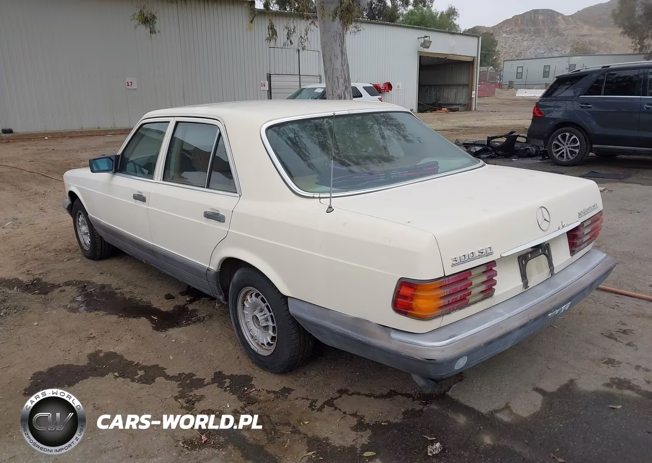 1982 Mercedes-Benz 300 Sd VIN:WDBCB20A0CB021742 - 3