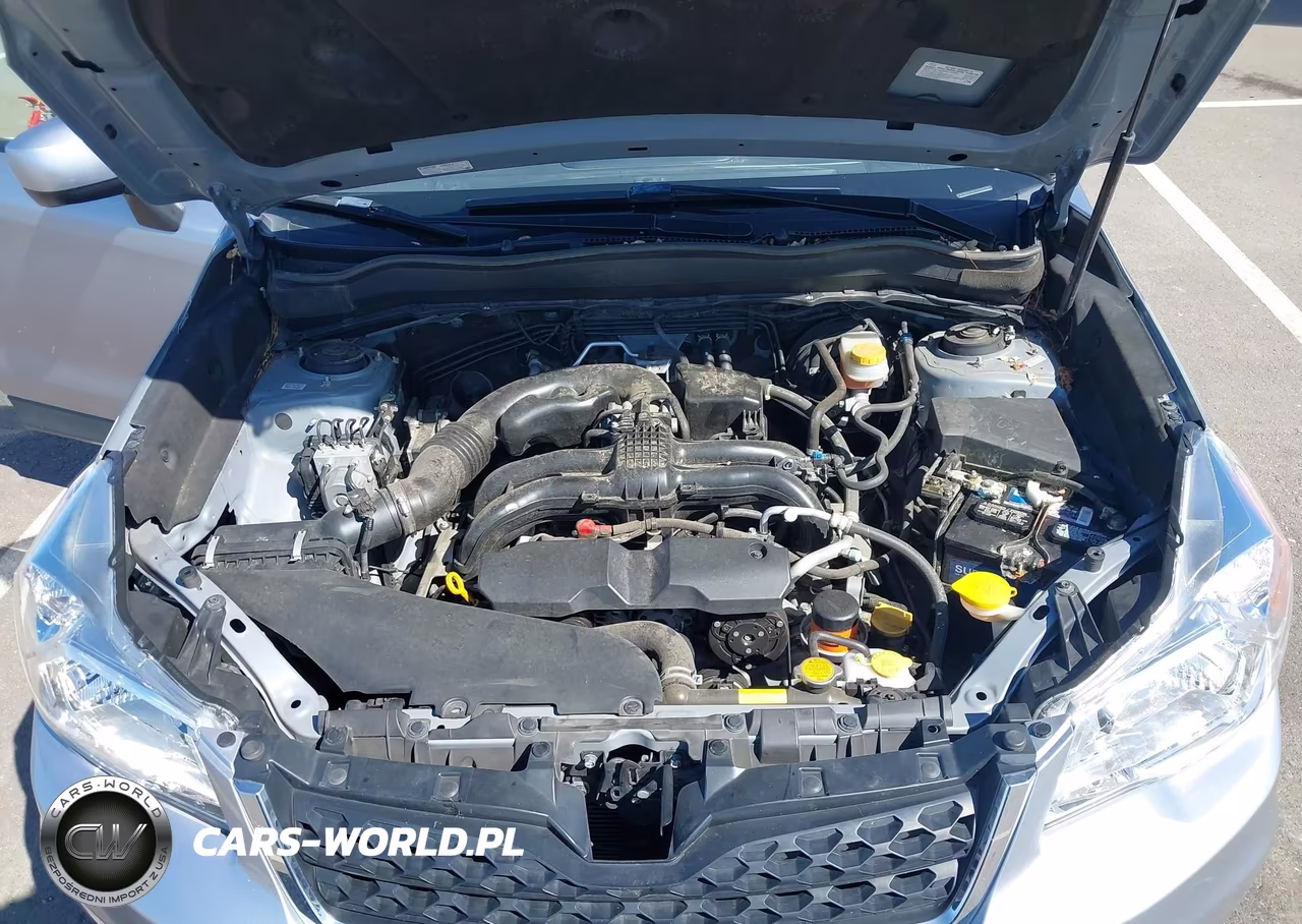 2016 Subaru Forester 2.5I Premium VIN:JF2SJADC2GH504739 - 10