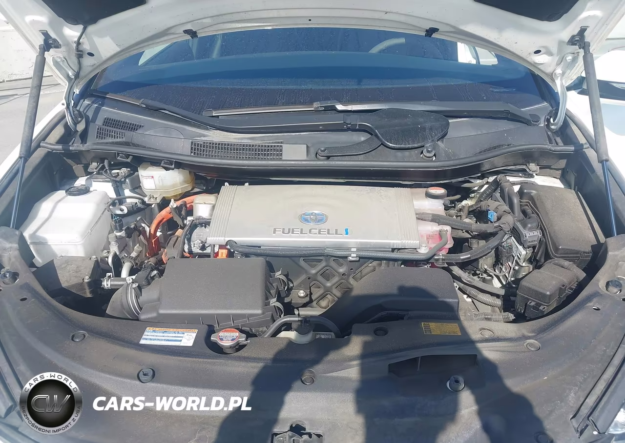 2019 Toyota Mirai VIN:JTDBVRBD0KA005677 - 10