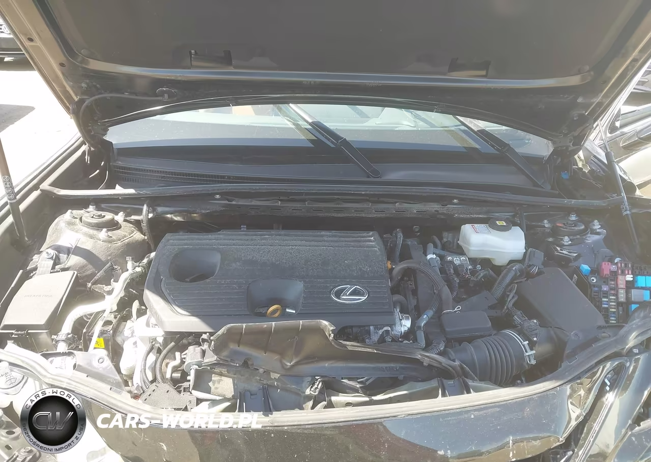 2025 Lexus Es 300H Ultra Luxury VIN:58AFA1C12SU060928 - 10