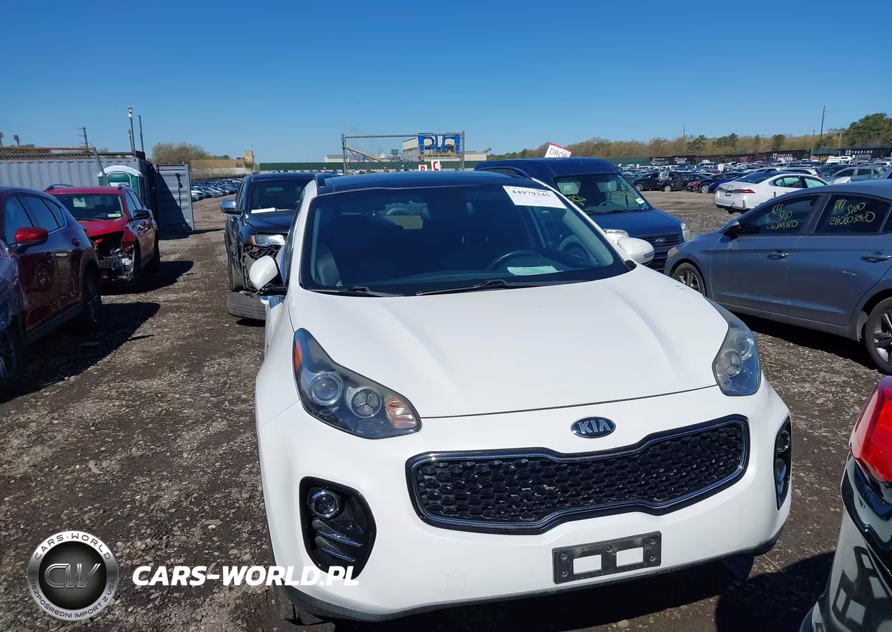 2019 Kia Sportage Ex VIN:KNDPNCAC9K7611133 - 12