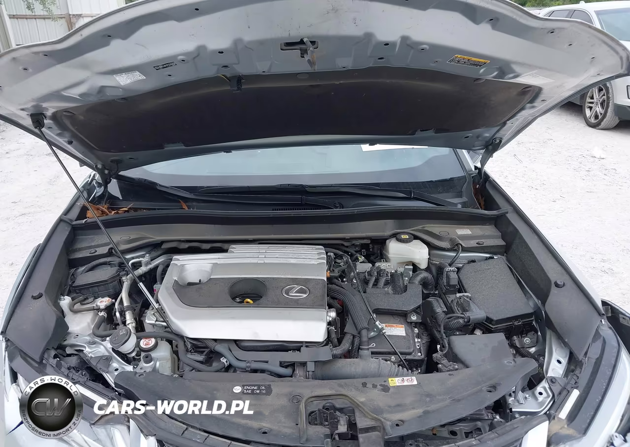 2023 Lexus Ux 250H Premium VIN:JTHP6JBH7P2146608 - 10
