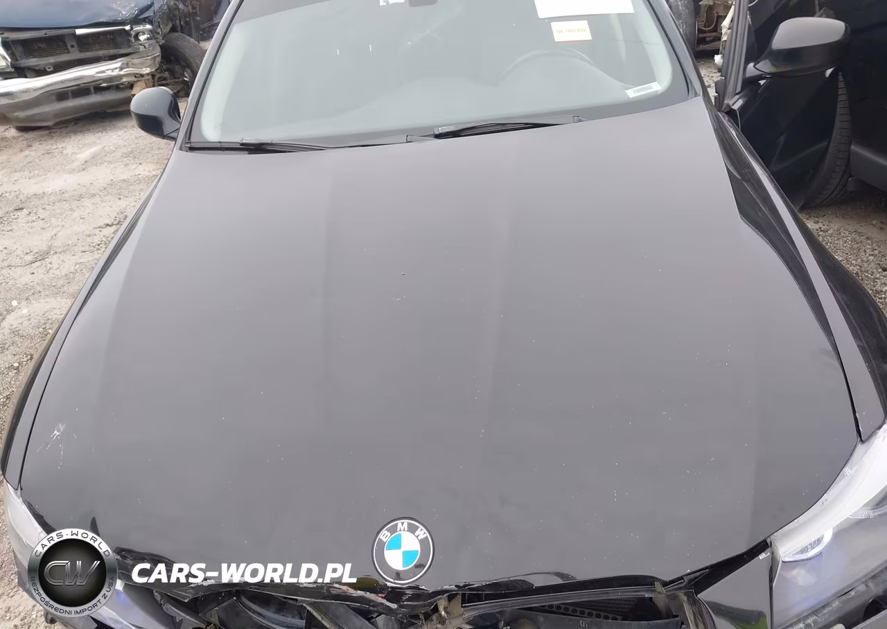 2010 BMW 335I VIN:WBAPM7G5XANL89406 - 10