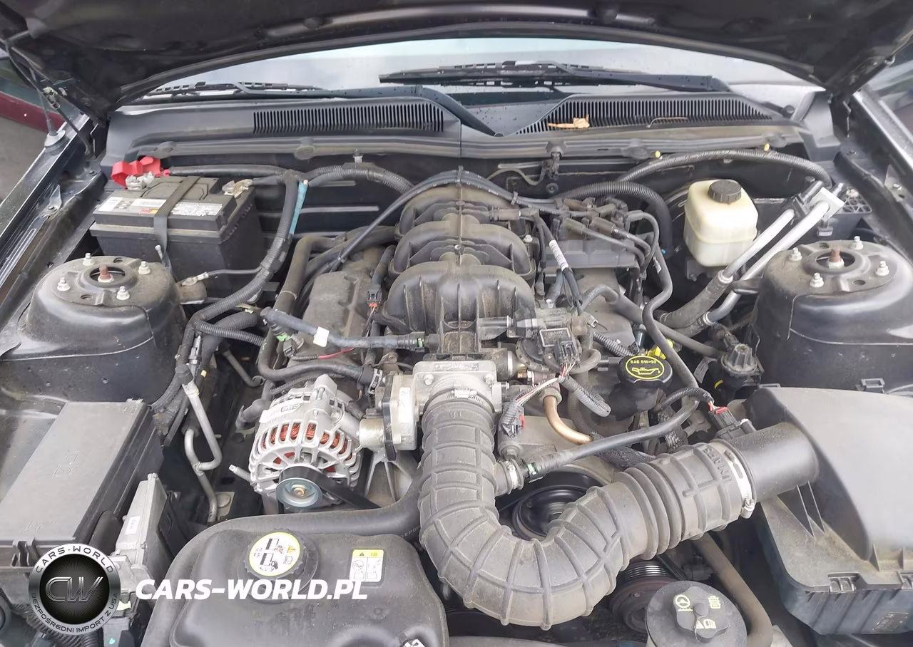 2007 Ford Mustang V6 Deluxe-V6 Premium VIN:1ZVFT80N775350294 - 10
