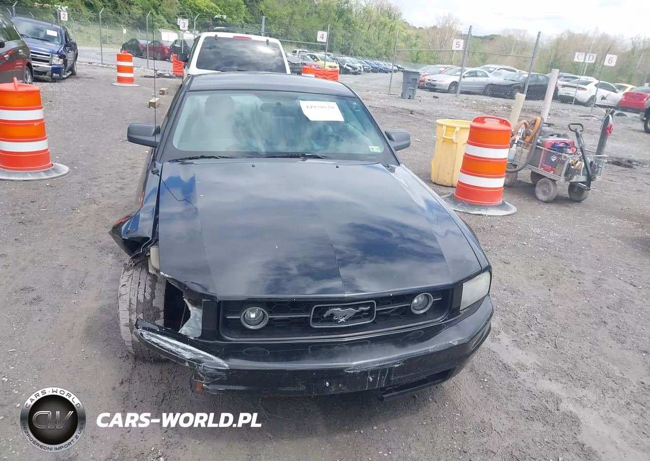 2007 Ford Mustang V6 Deluxe-V6 Premium VIN:1ZVFT80N775350294 - 12