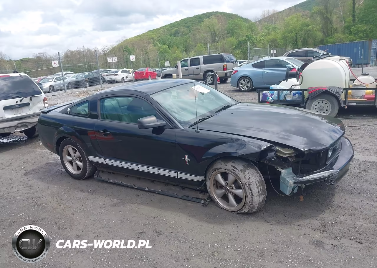 2007 Ford Mustang V6 Deluxe-V6 Premium VIN:1ZVFT80N775350294 - 13