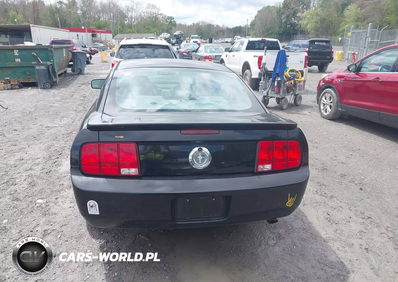 2007 Ford Mustang V6 Deluxe-V6 Premium VIN:1ZVFT80N775350294 - 16