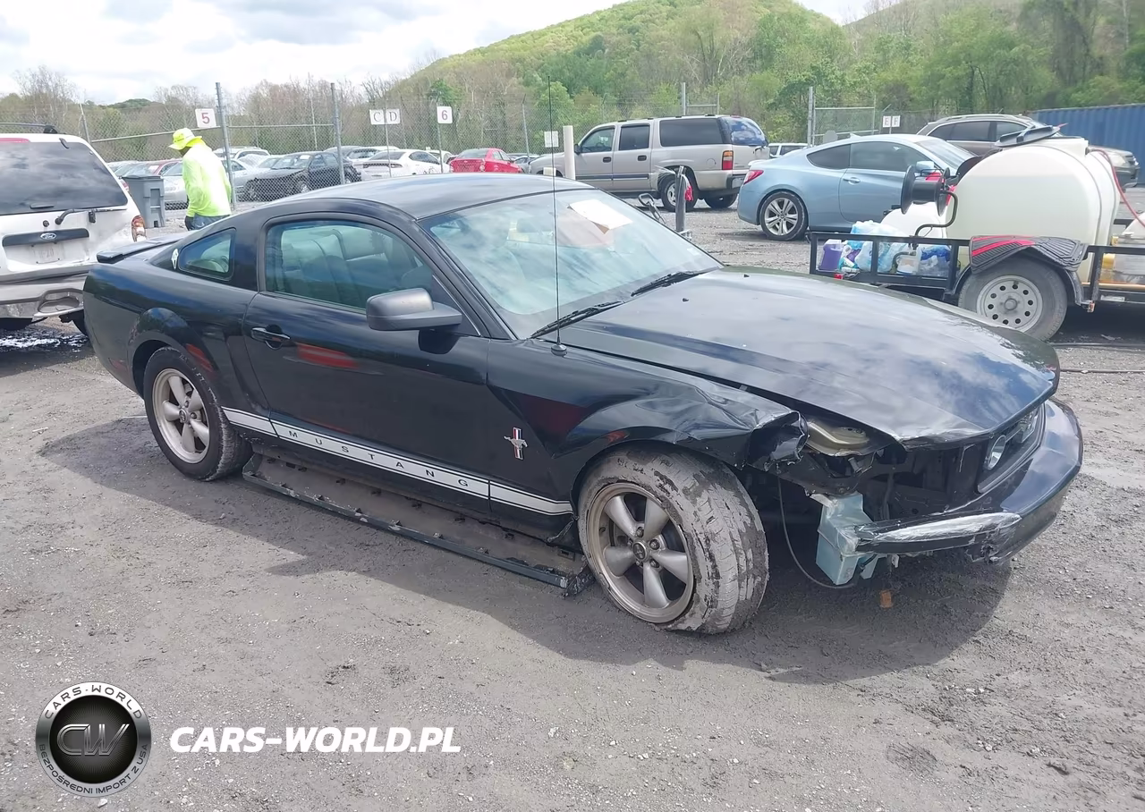 2007 Ford Mustang V6 Deluxe-V6 Premium VIN:1ZVFT80N775350294 - 6