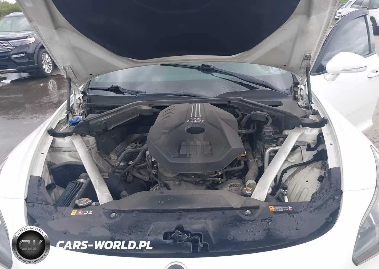 2018 Kia Stinger Premium VIN:KNAE25LA7J6010540 - 10