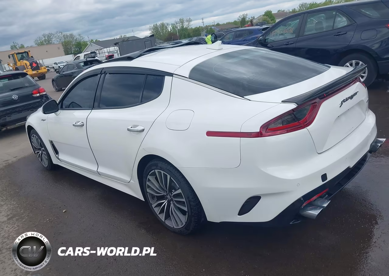 2018 Kia Stinger Premium VIN:KNAE25LA7J6010540 - 3