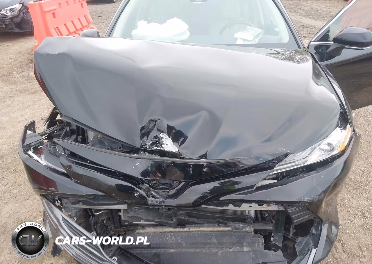 2020 Toyota Camry Xle Hybrid VIN:4T1F31AK2LU519244 - 10