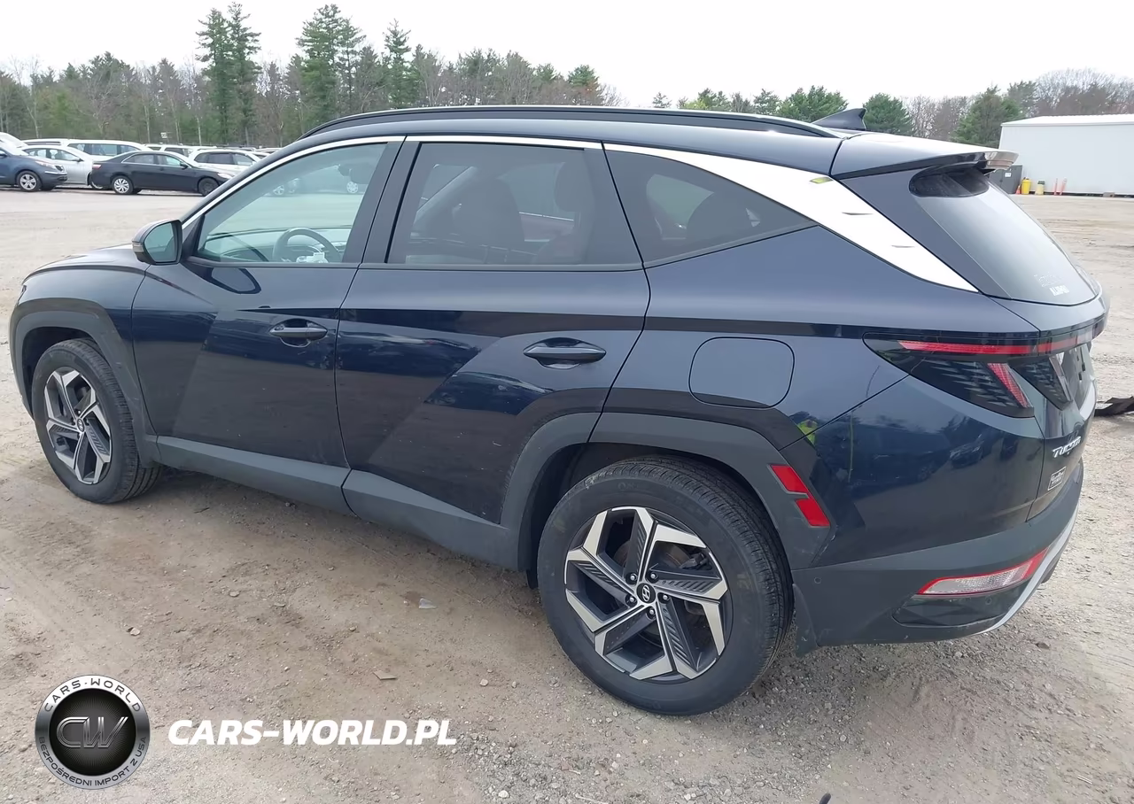 2023 Hyundai Tucson Plug-In Hybrid Limited VIN:KM8JFDA29PU125085 - 3