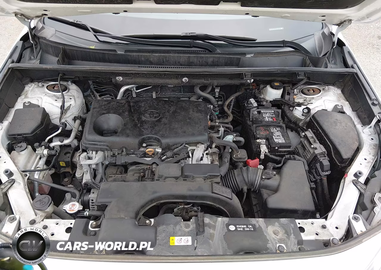 2020 Toyota Rav4 Xle VIN:2T3W1RFV6LC055178 - 10