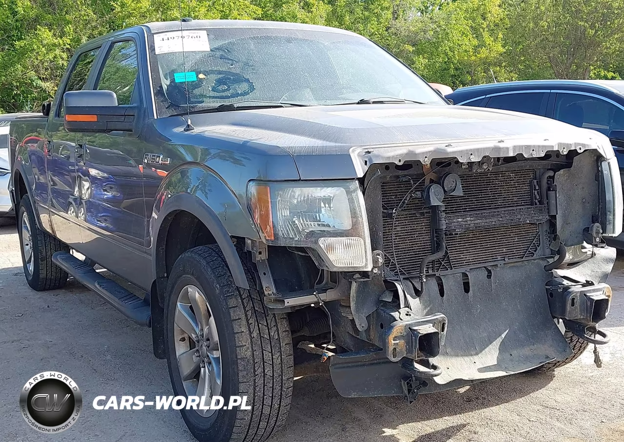2011 Ford F-150 Fx4 – zdjęcie 1 z 19