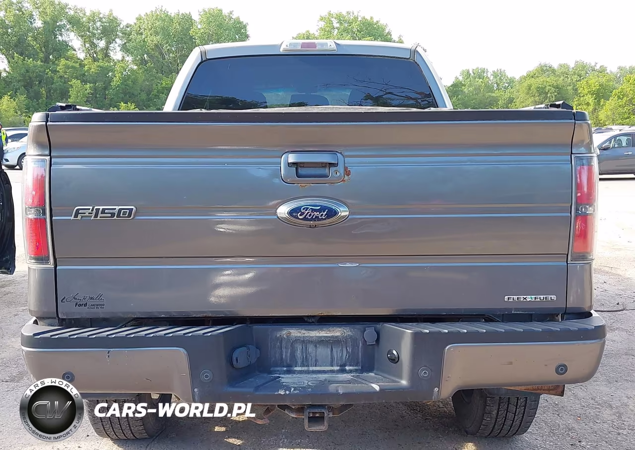 2011 Ford F-150 Fx4 VIN:1FTFW1EF2BFC97753 - 17