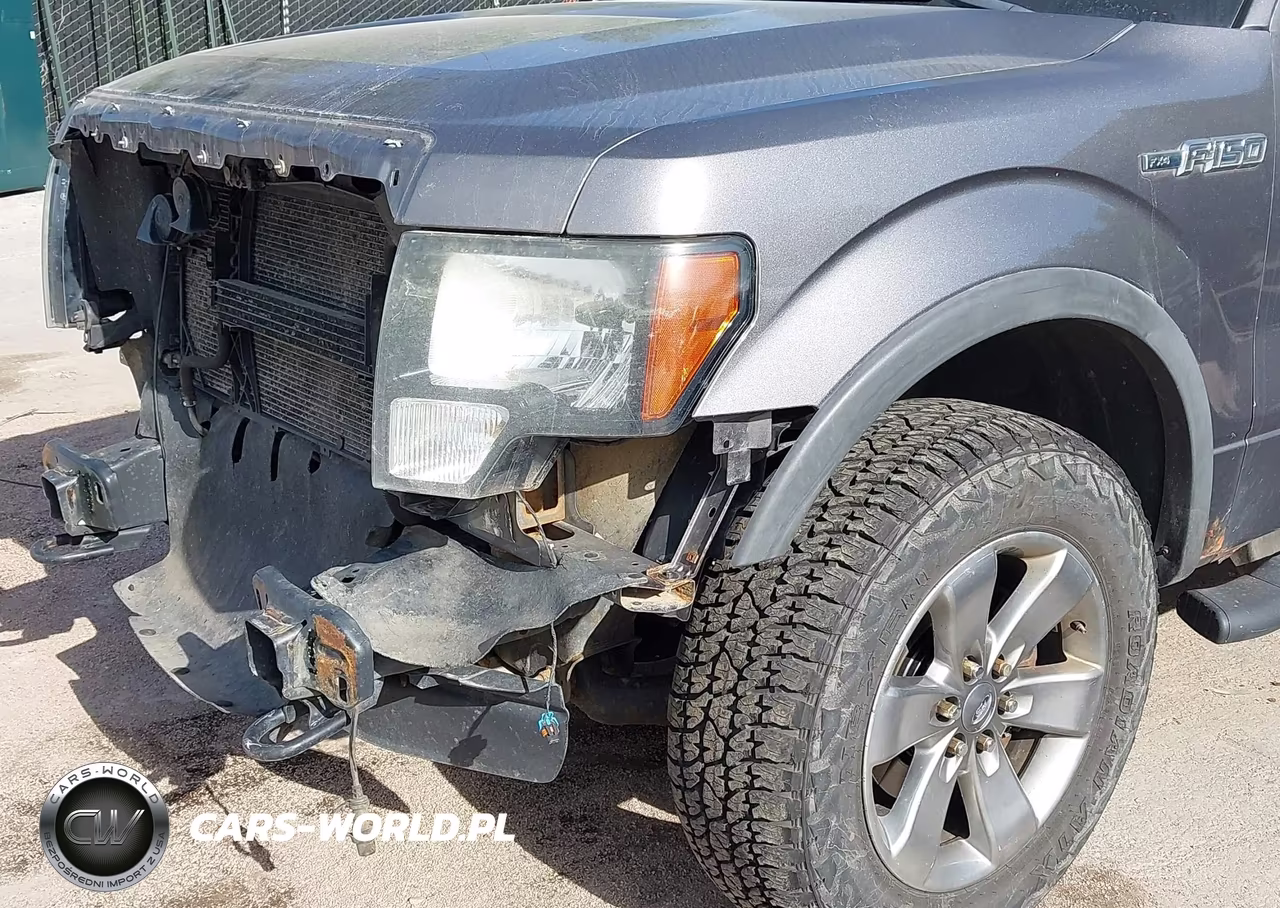2011 Ford F-150 Fx4 VIN:1FTFW1EF2BFC97753 - 19