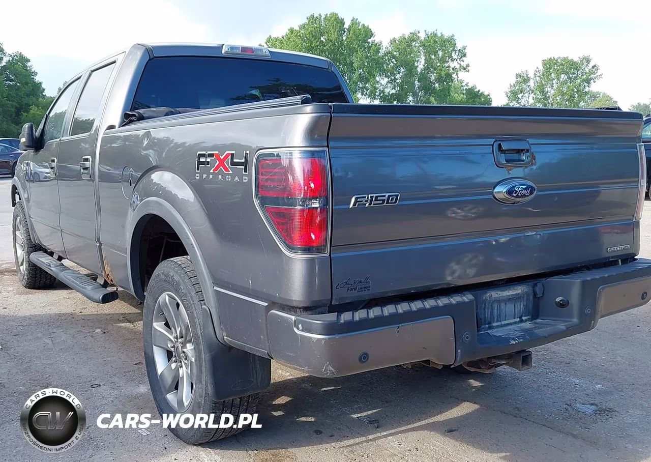 2011 Ford F-150 Fx4 VIN:1FTFW1EF2BFC97753 - 3