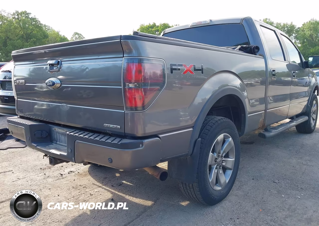 2011 Ford F-150 Fx4 VIN:1FTFW1EF2BFC97753 - 4