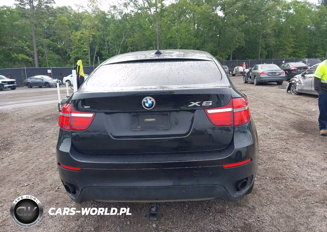 2014 BMW X6 xDrive35I VIN:5UXFG2C55E0C44471 - 17