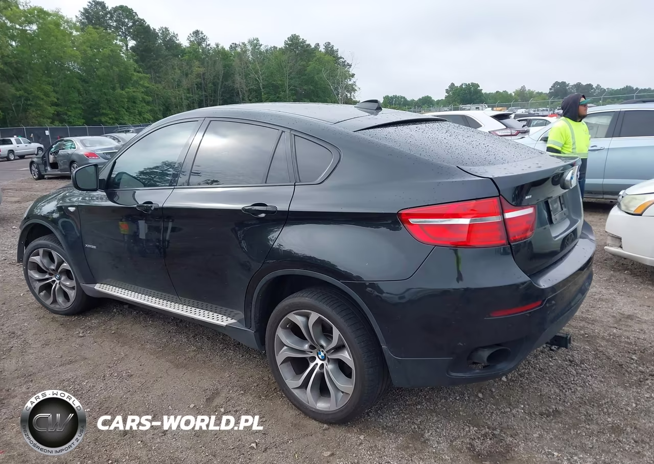 2014 BMW X6 xDrive35I VIN:5UXFG2C55E0C44471 - 3