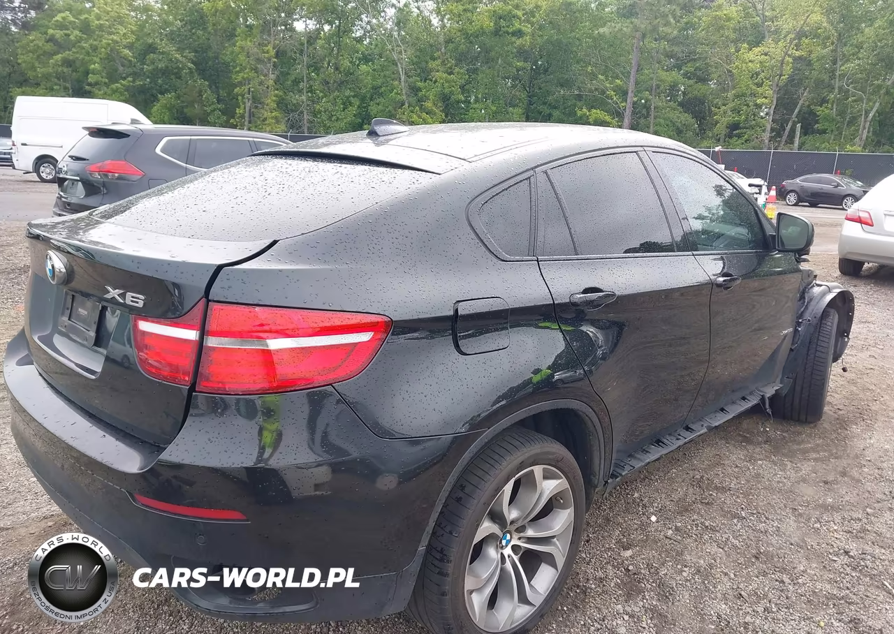2014 BMW X6 xDrive35I VIN:5UXFG2C55E0C44471 - 4