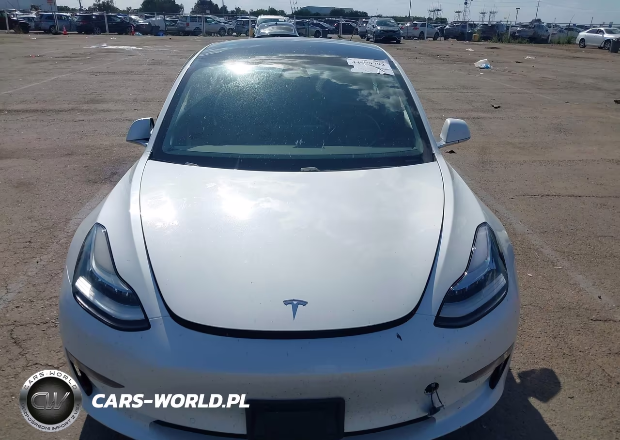 2020 Tesla Model 3 Standard Range Plus Rear-Wheel Drive-Standard Range Rear-Wheel Drive VIN:5YJ3E1EA7LF661732 - 12