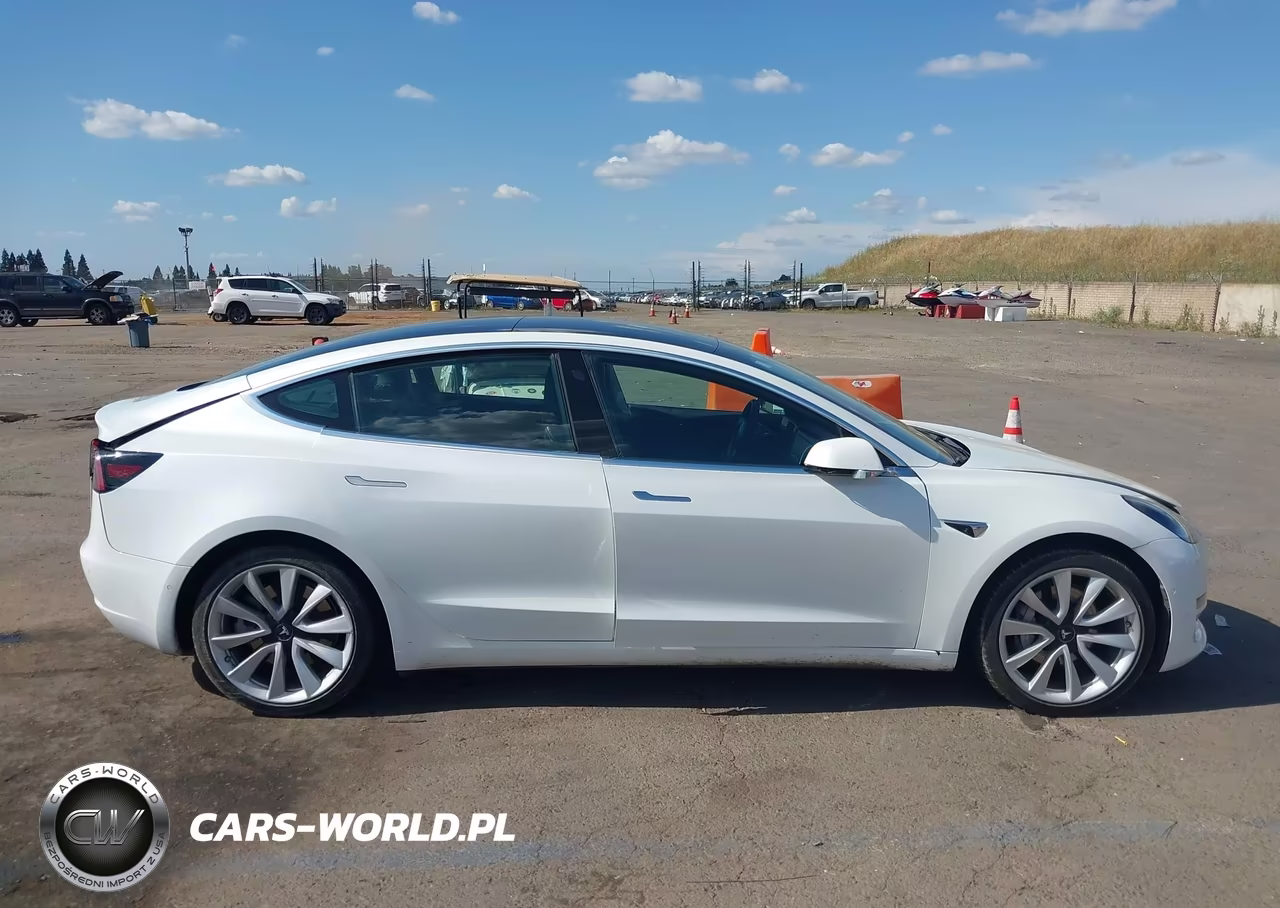 2020 Tesla Model 3 Standard Range Plus Rear-Wheel Drive-Standard Range Rear-Wheel Drive VIN:5YJ3E1EA7LF661732 - 13