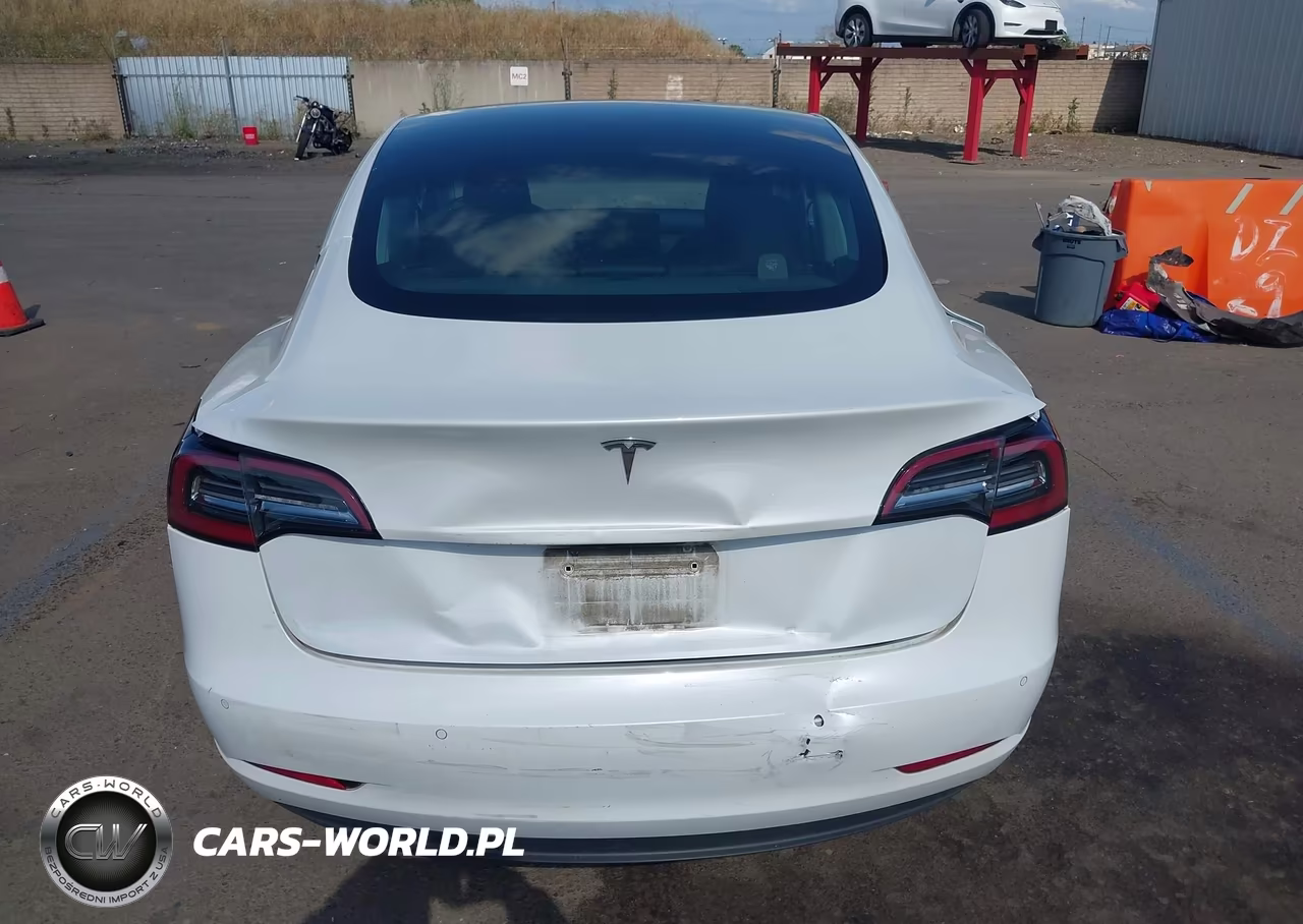 2020 Tesla Model 3 Standard Range Plus Rear-Wheel Drive-Standard Range Rear-Wheel Drive VIN:5YJ3E1EA7LF661732 - 16