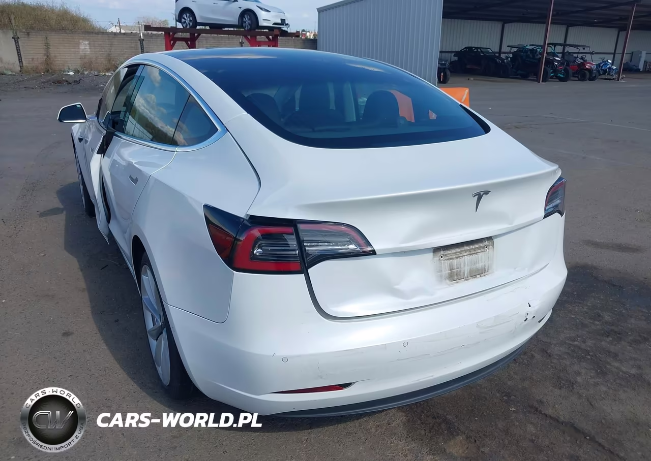 2020 Tesla Model 3 Standard Range Plus Rear-Wheel Drive-Standard Range Rear-Wheel Drive VIN:5YJ3E1EA7LF661732 - 3