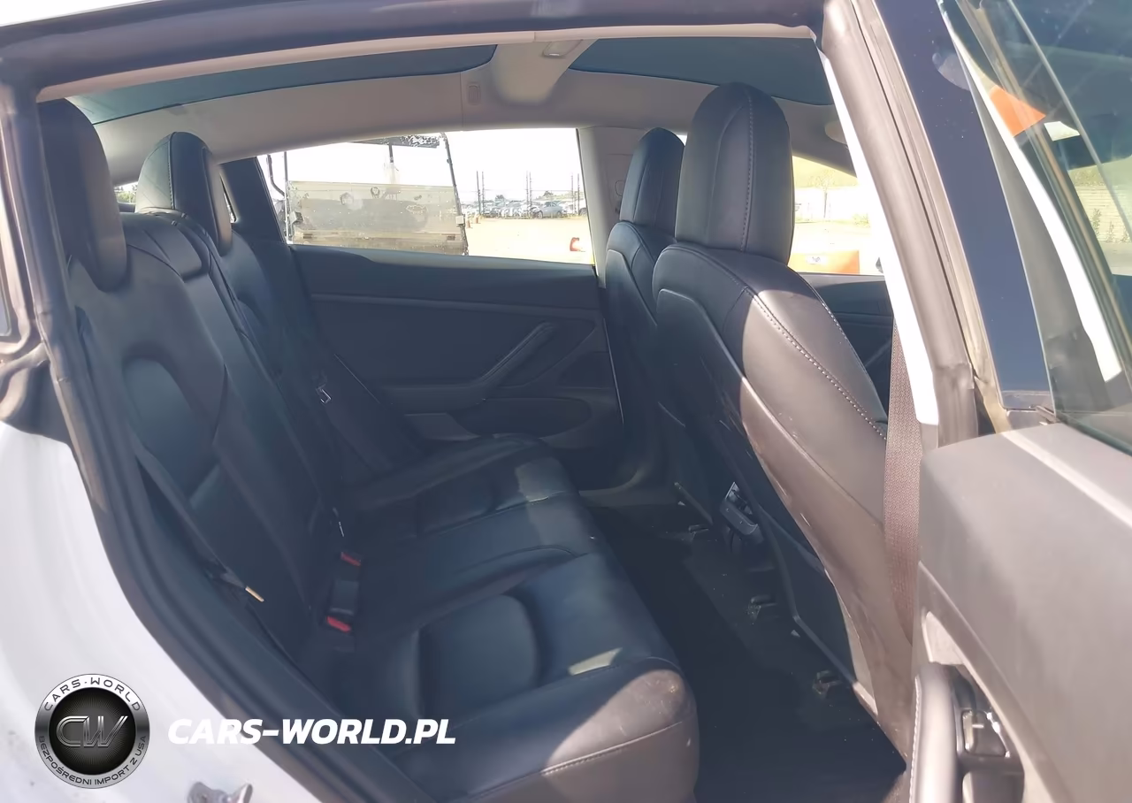 2020 Tesla Model 3 Standard Range Plus Rear-Wheel Drive-Standard Range Rear-Wheel Drive VIN:5YJ3E1EA7LF661732 - 8