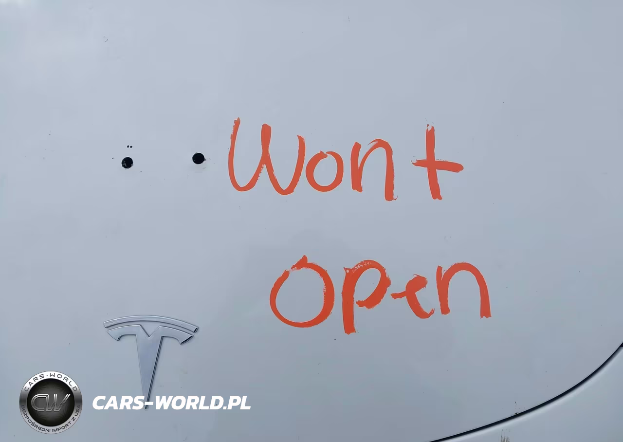 2021 Tesla Model 3 Long Range Dual Motor All-Wheel Drive VIN:5YJ3E1EB1MF961017 - 10