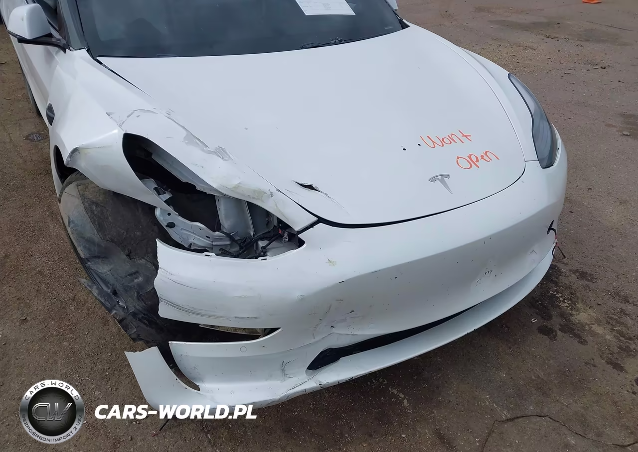 2021 Tesla Model 3 Long Range Dual Motor All-Wheel Drive VIN:5YJ3E1EB1MF961017 - 6