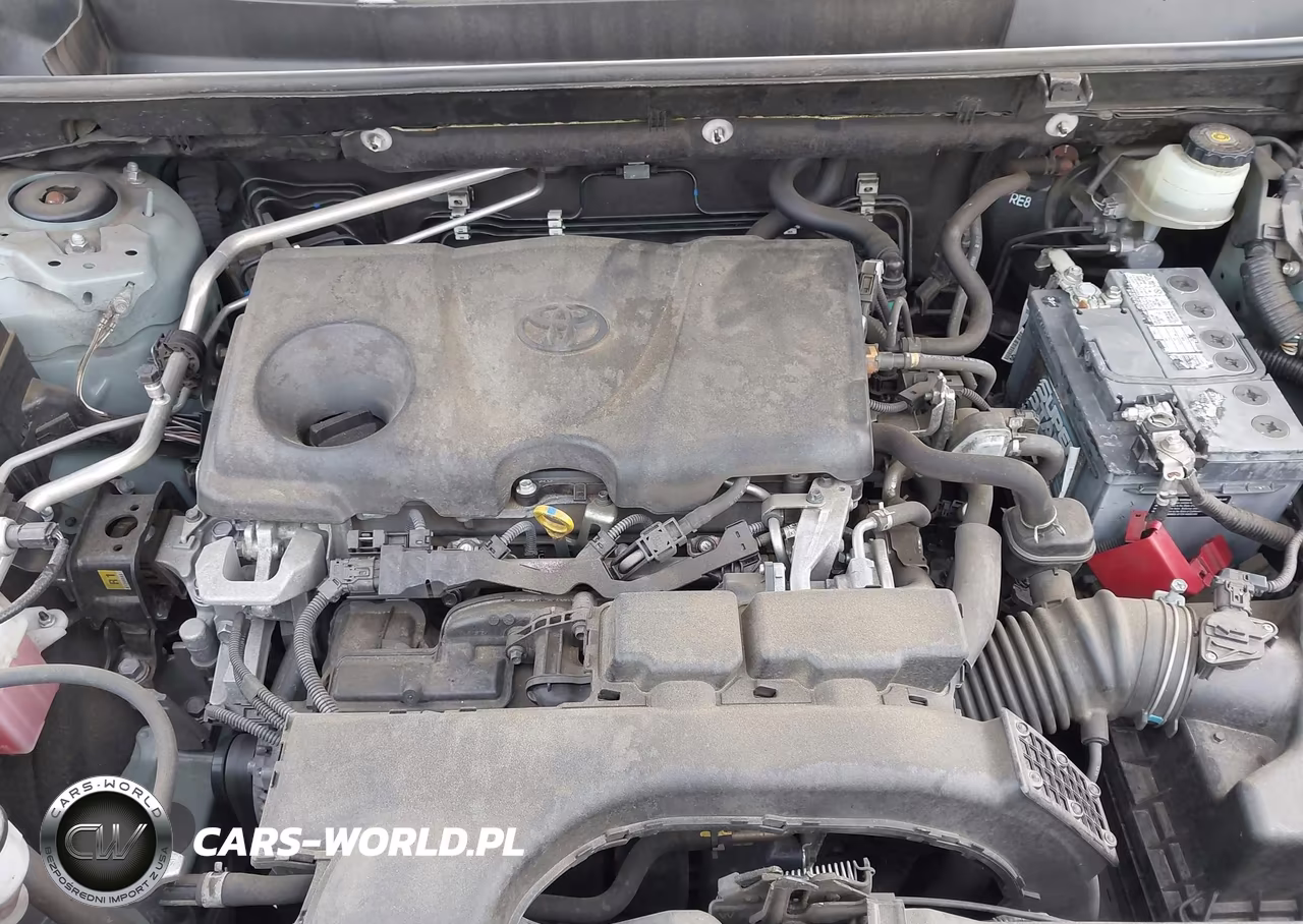 2019 Toyota Rav4 Xle VIN:JTMP1RFV5KD039245 - 10