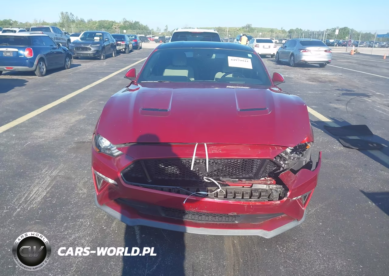 2019 Ford Mustang Gt VIN:1FA6P8CFXK5152495 - 12