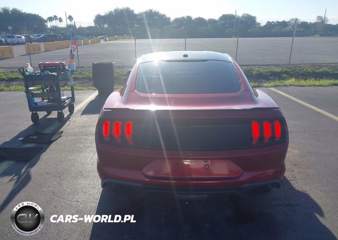 2019 Ford Mustang Gt VIN:1FA6P8CFXK5152495 - 16