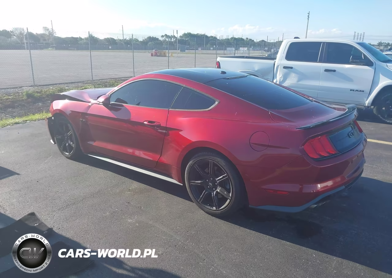 2019 Ford Mustang Gt VIN:1FA6P8CFXK5152495 - 3