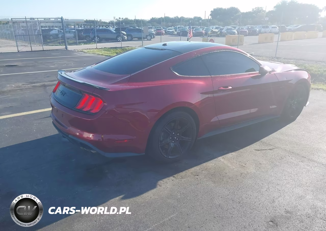 2019 Ford Mustang Gt VIN:1FA6P8CFXK5152495 - 4