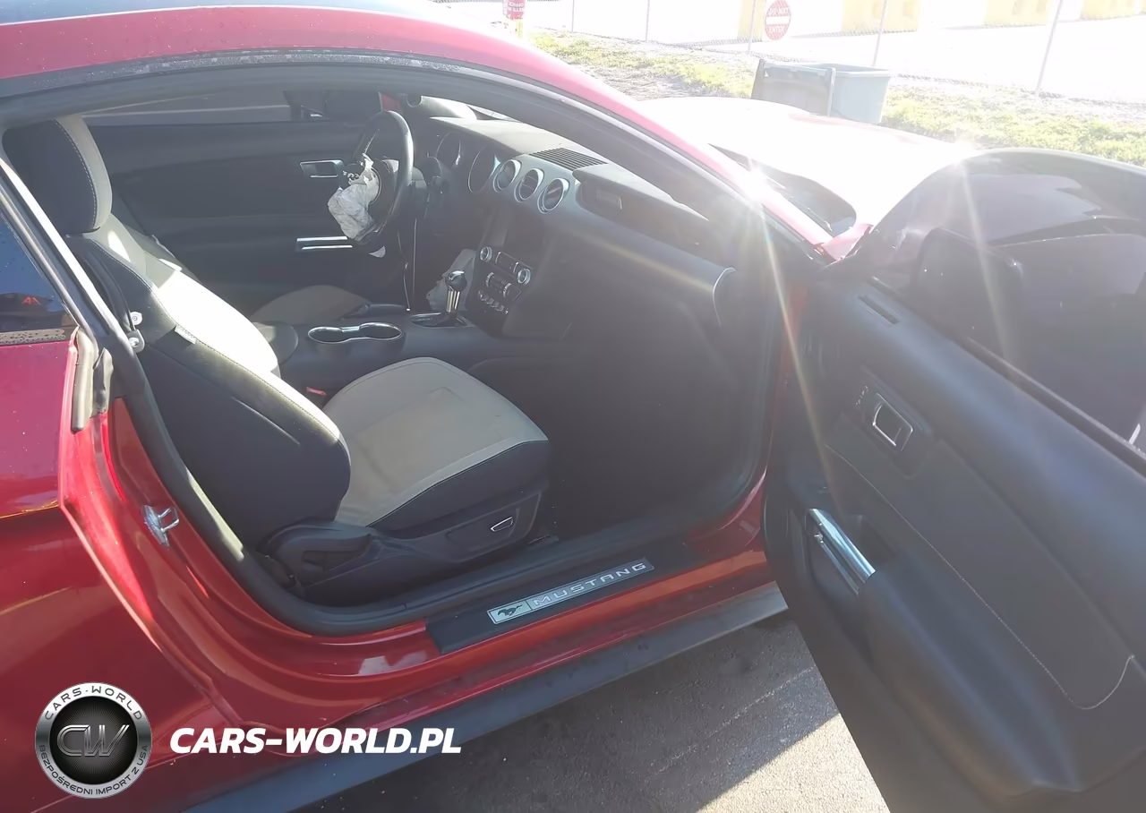 2019 Ford Mustang Gt VIN:1FA6P8CFXK5152495 - 5
